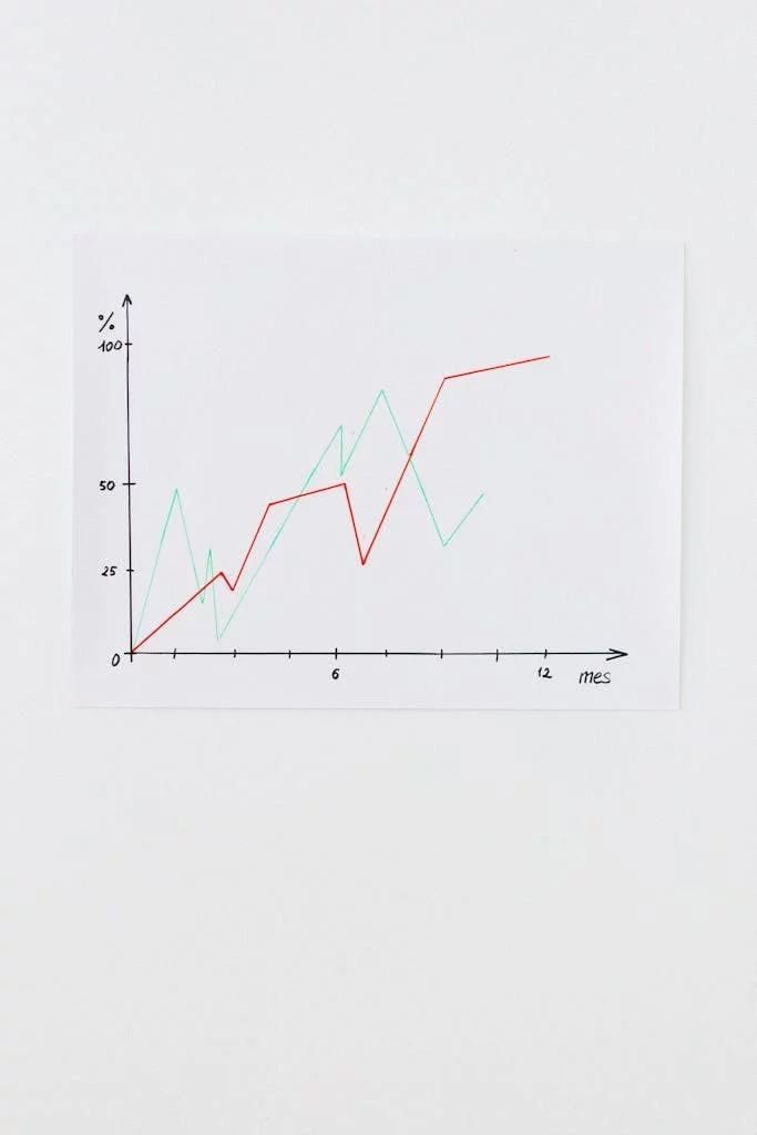 White Paper With Black Line